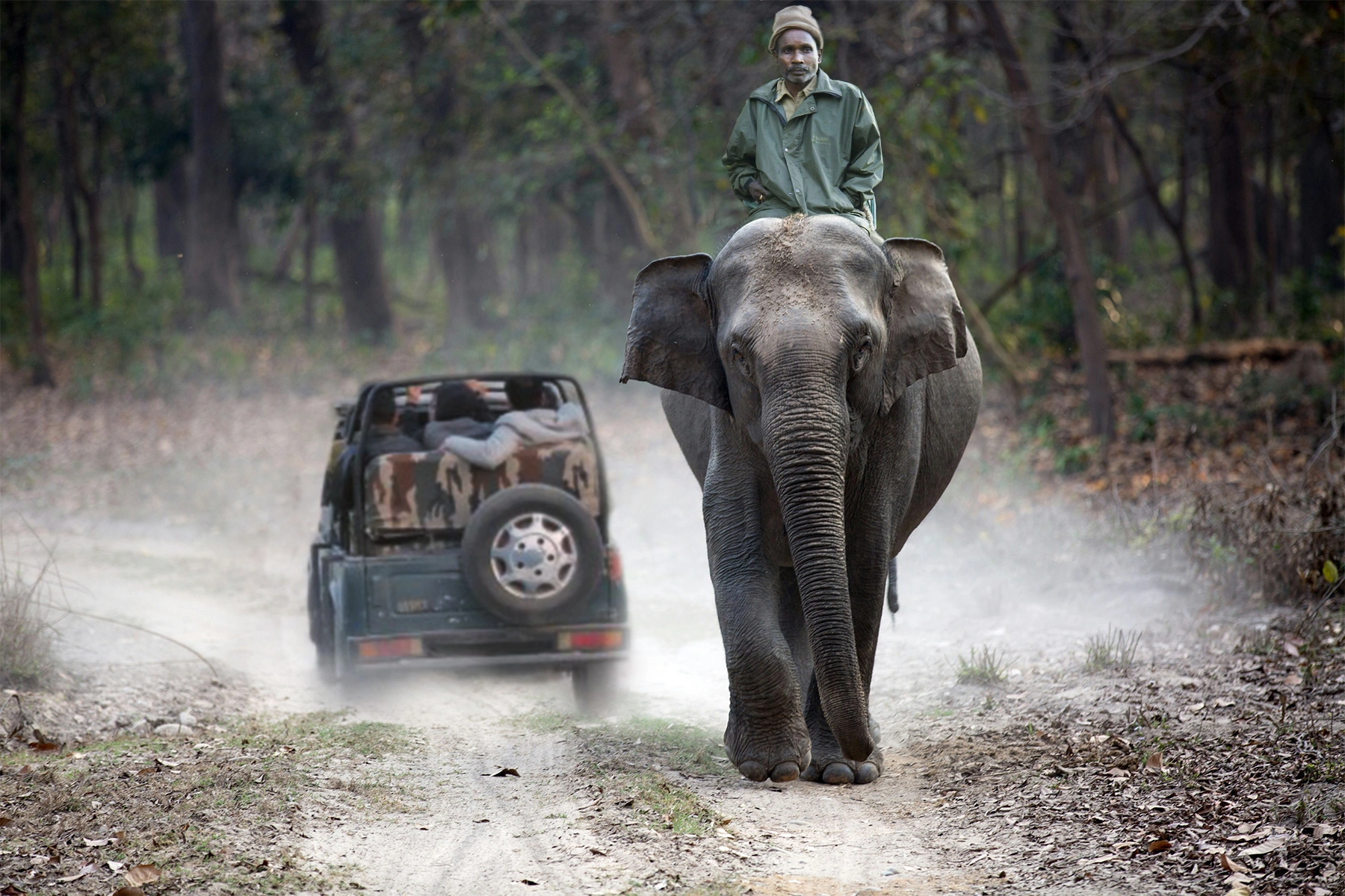 Corbett Fun Tour with 1 jeep safari