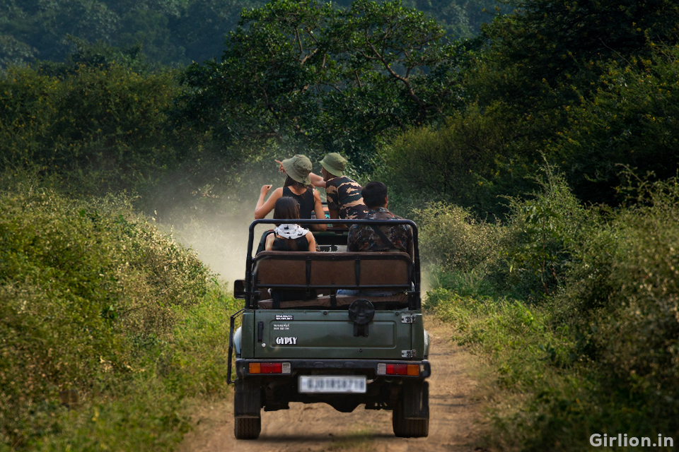 Corbett Holiday Tour with 1 Canter safari